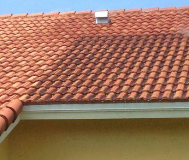 461087738_2573647316162068_4970090295164576915_n-res-opt