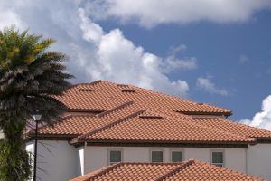 Why Is Roof Softwashing Important? Why Is Roof Softwashing Important?
