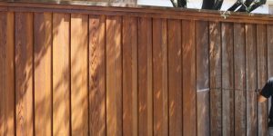 What You Should Know about Our Fence Cleaning Services