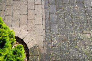 3 Things Your Soft Wash Company Wants You to Know