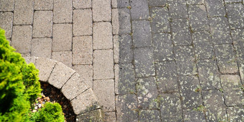 3 Things Your Soft Wash Company Wants You to Know